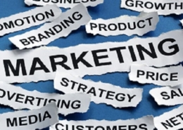 Aztera Marketing Wellington. Marketing specialists Wellington.